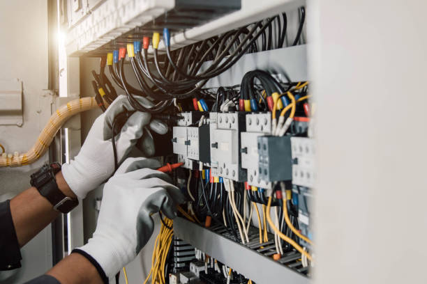 Best Electric Panel Repair  in Oblong, IL